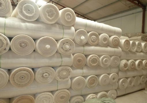 Lưới chắn côn trùng Israel