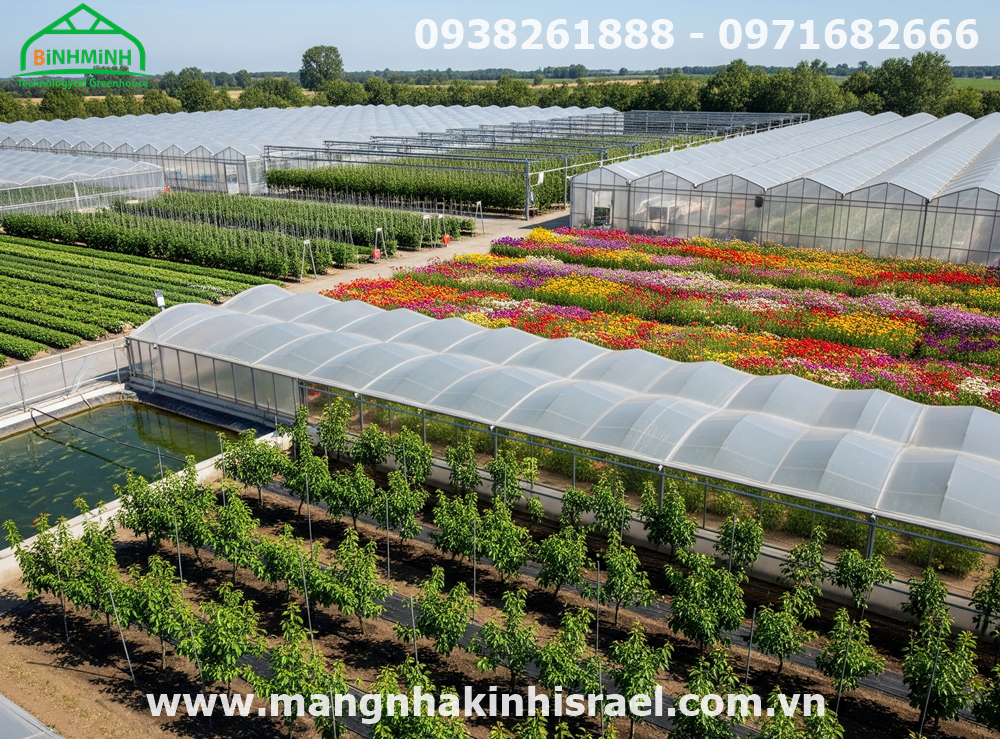 Khi Bão Đến, Ai Giữ Giùm Tôi Những Luống Rau? Màng Nhà Kính Bảo Vệ Cây Trồng Tối Ưu