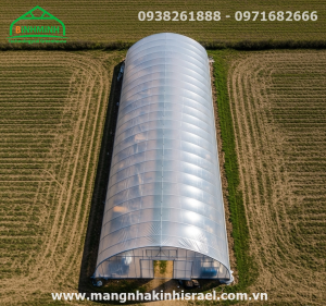 Màng Nhà Kính - Giải Pháp Nông Nghiệp Thông Minh: Kết Hợp Thủy Canh Và Nuôi Cá (Aquaponics) Mang Lại Lợi Ích Vượt Trội Cho Nông Dân